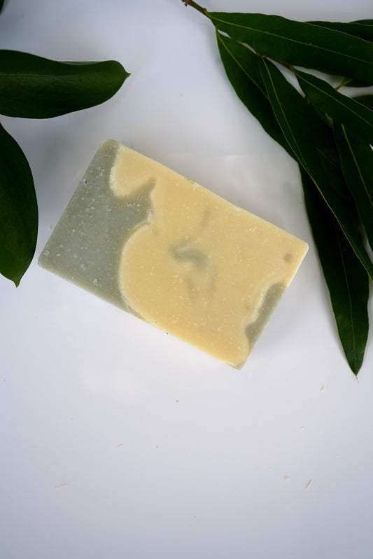 Cedar Me Happy Mens Soap