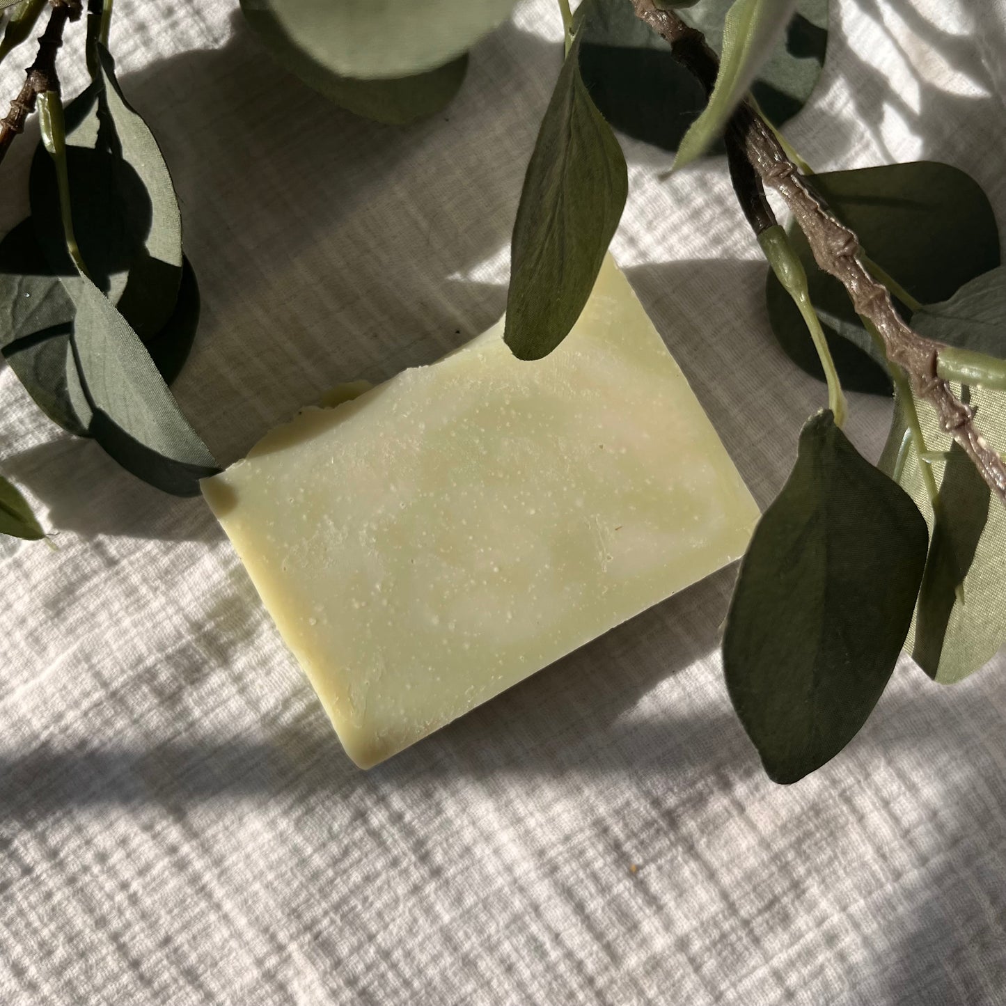 Frosted Forest Soap Winter collection