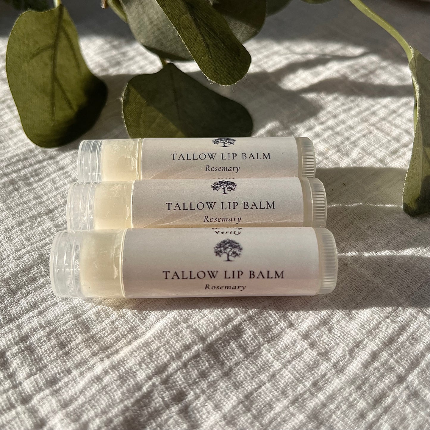 Tallow Lip Balm